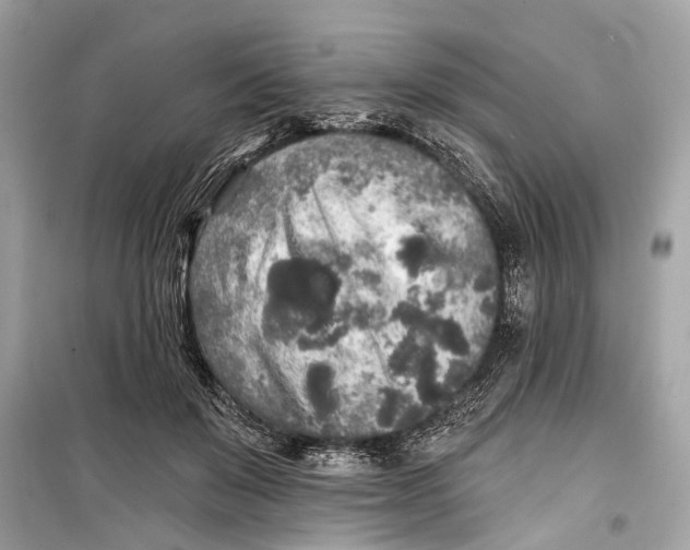 X0000099300503200805161352