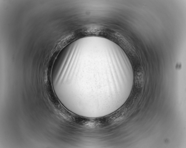 X0000099300504200805161352