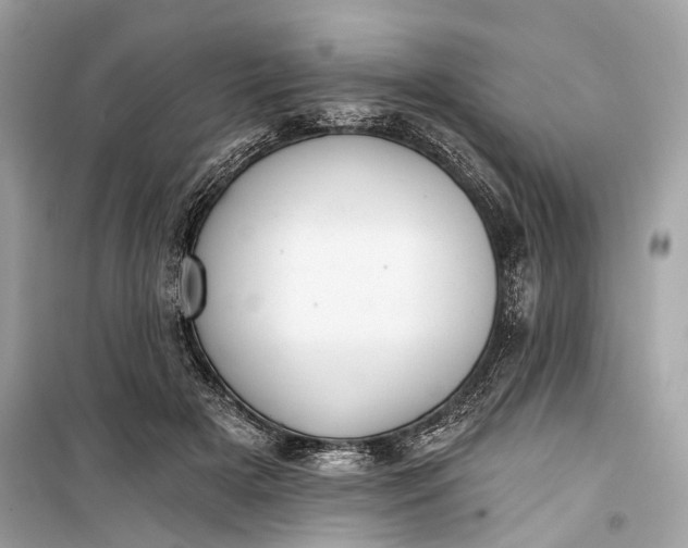 X0000099300505200805161352