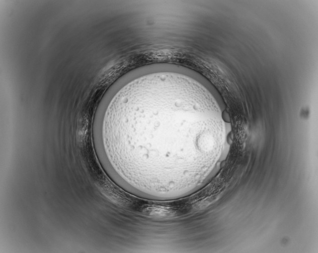 X0000099300507200805161352