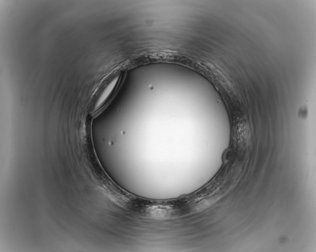 X0000099300508200805161352