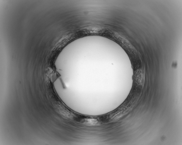 X0000099300509200805161352