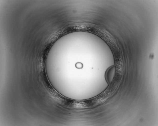 X0000099300510200805161352