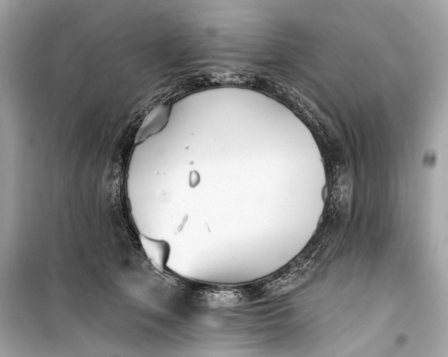 X0000099300513200805161352