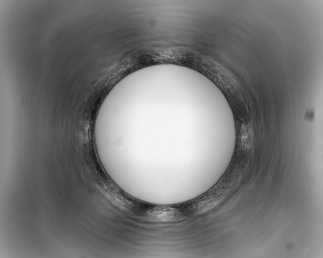 X0000099300514200805161352