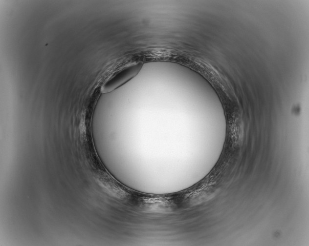 X0000099300516200805161352