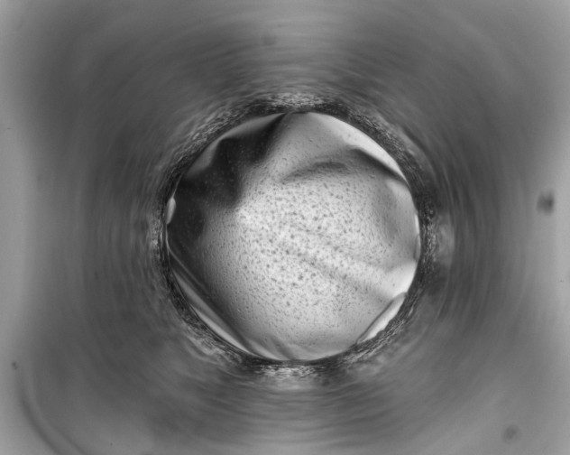 X0000099300517200805161352