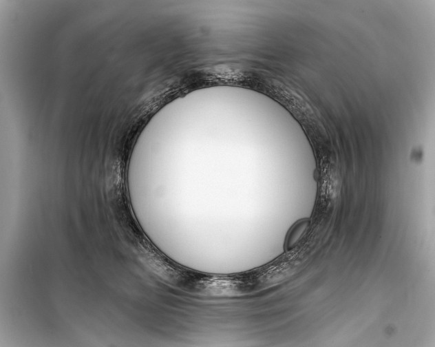 X0000099300518200805161352