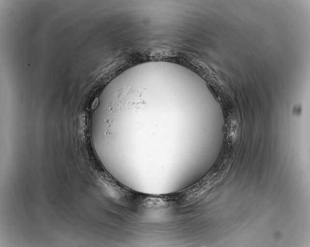 X0000099300519200805161352