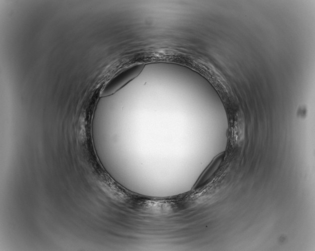 X0000099300520200805161352