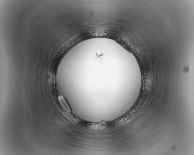 X0000099300521200805161352