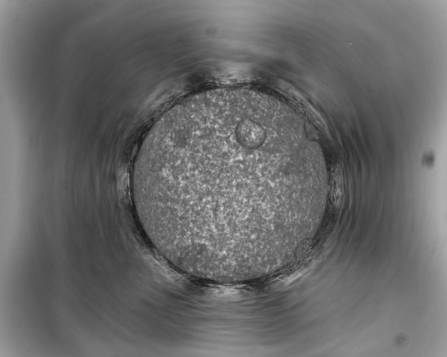 X0000099300523200805161351