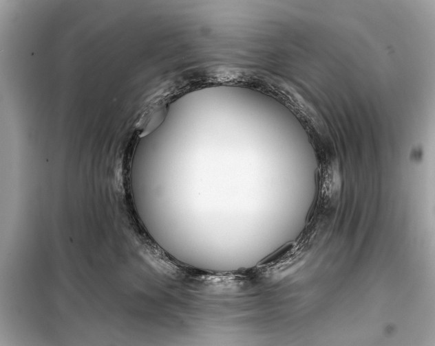 X0000099300524200805161351