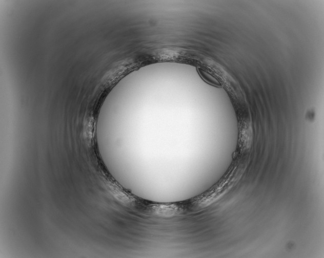 X0000099300525200805161351