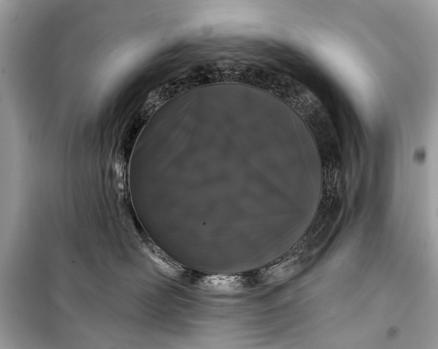 X0000099300526200805161351