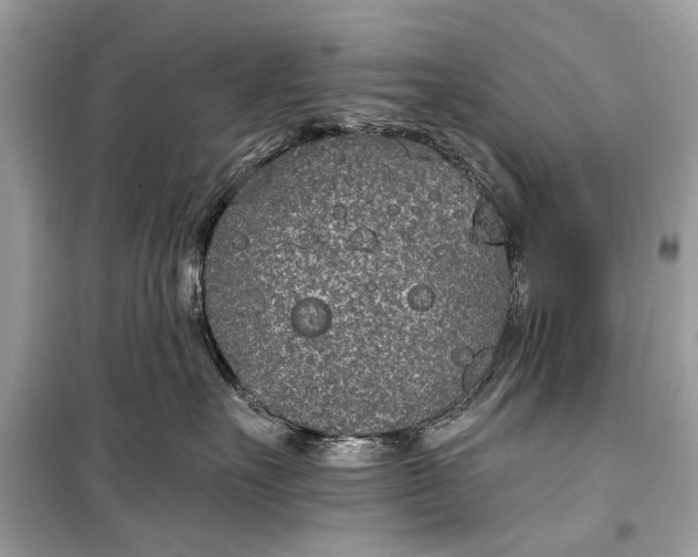 X0000099300527200805161351