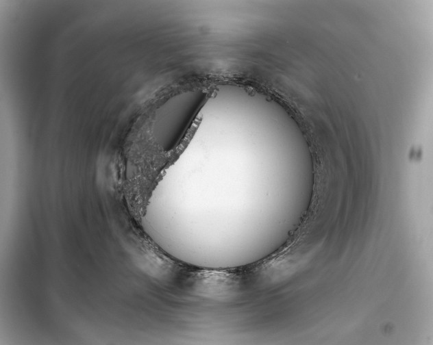 X0000099300528200805161351