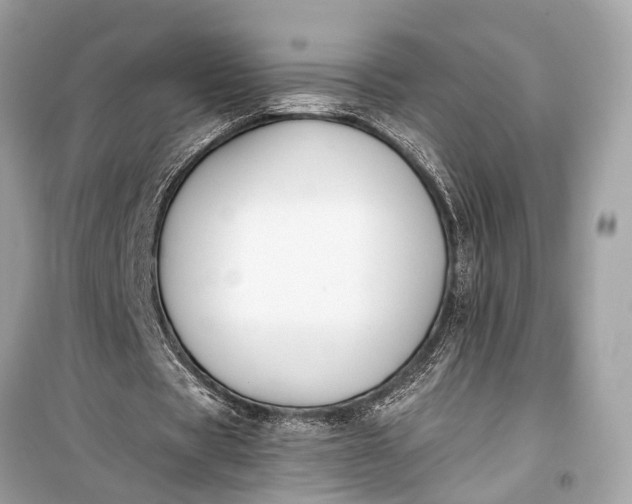 X0000099300529200805161351