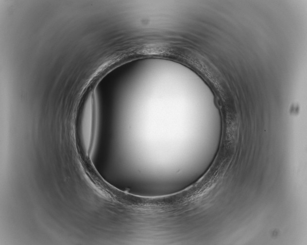 X0000099300530200805161351