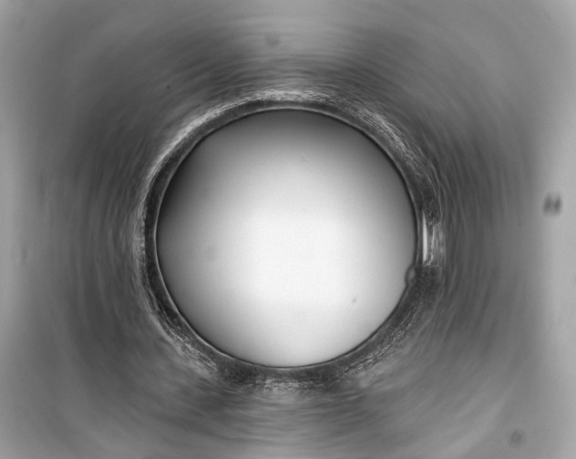 X0000099300531200805161351