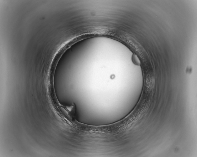 X0000099300532200805161351