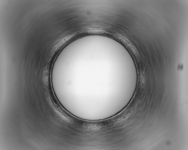 X0000099300533200805161351