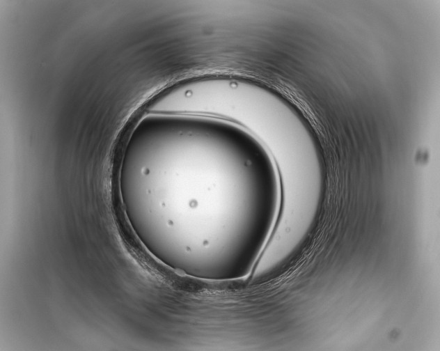 X0000099300534200805161351