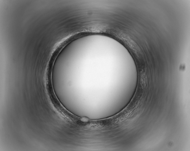 X0000099300536200805161351