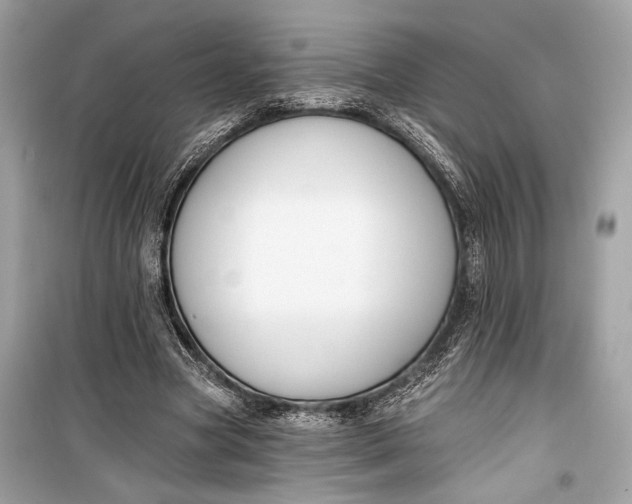 X0000099300537200805161351