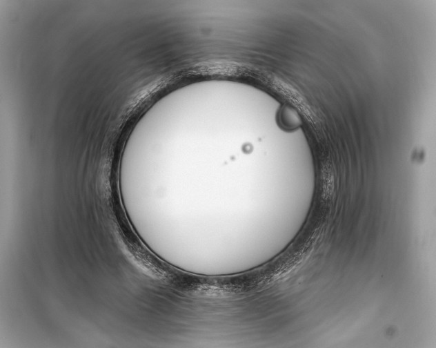 X0000099300538200805161351