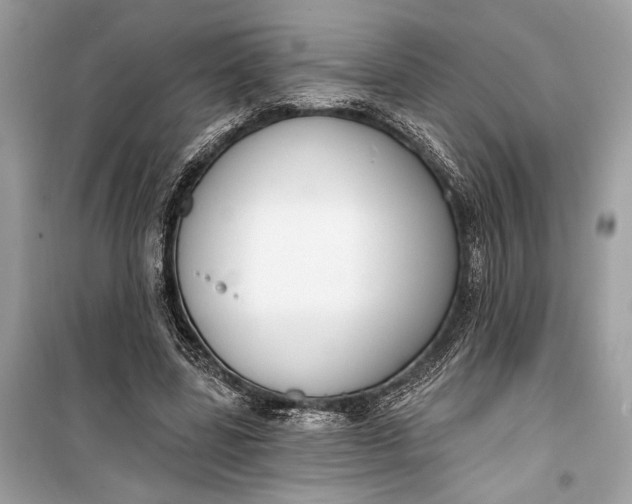 X0000099300539200805161351