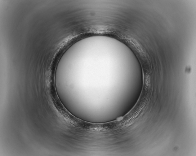 X0000099300540200805161351