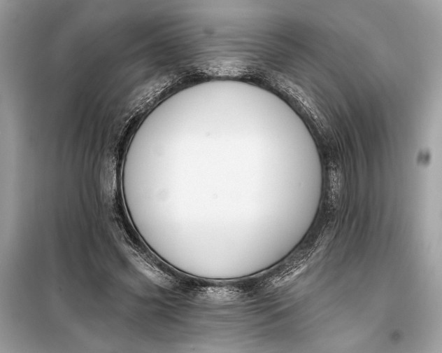 X0000099300541200805161351