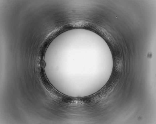 X0000099300543200805161351