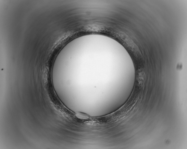 X0000099300544200805161351