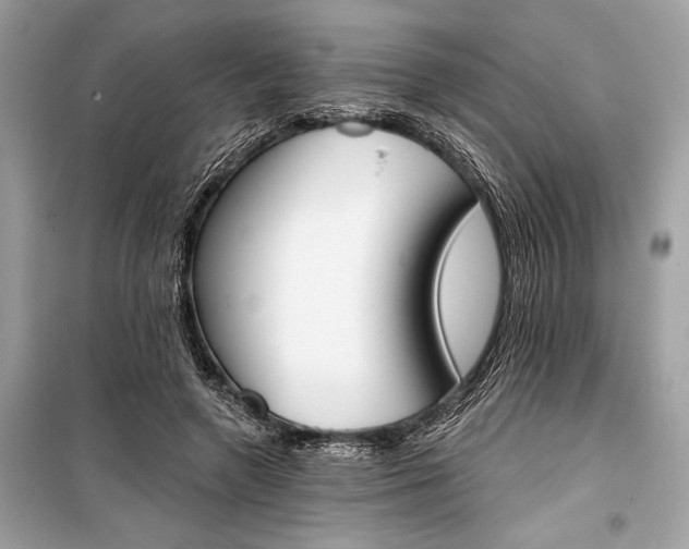 X0000099300546200805161351