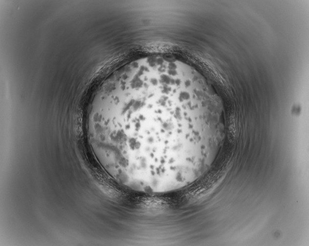 X0000099300547200805161351