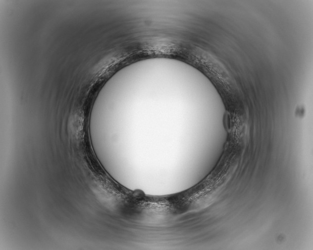 X0000099300548200805161351