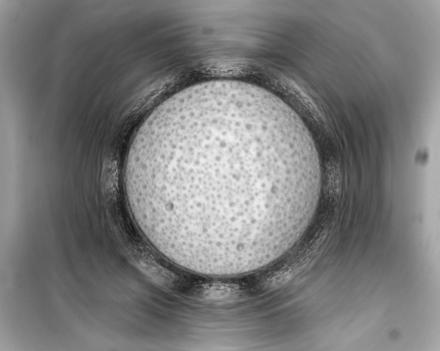 X0000099300549200805161351