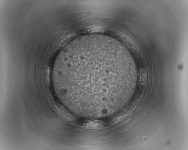 X0000099300550200805161351