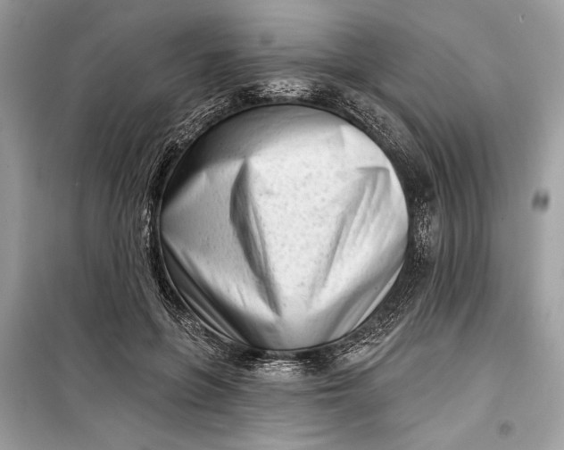 X0000099300551200805161351