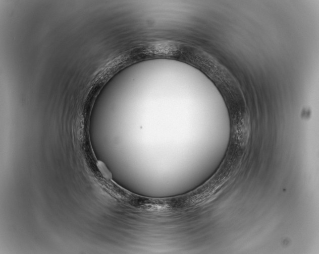 X0000099300552200805161351