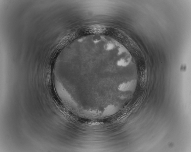 X0000099300553200805161351