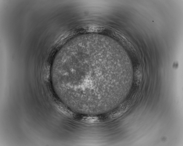 X0000099300554200805161351