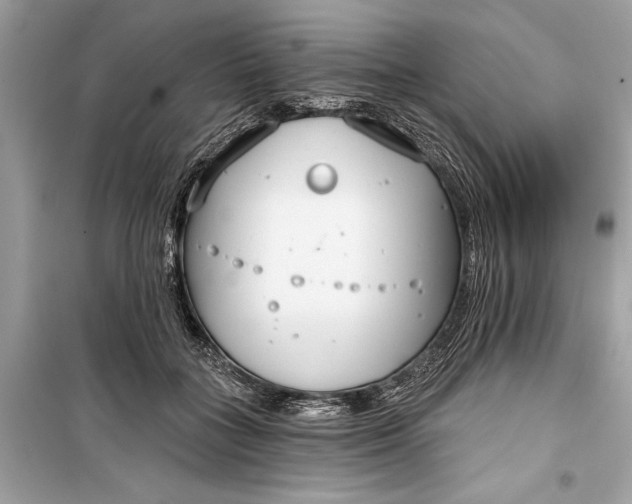 X0000099300555200805161351