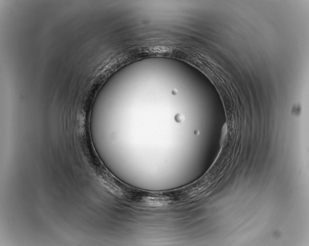 X0000099300556200805161351