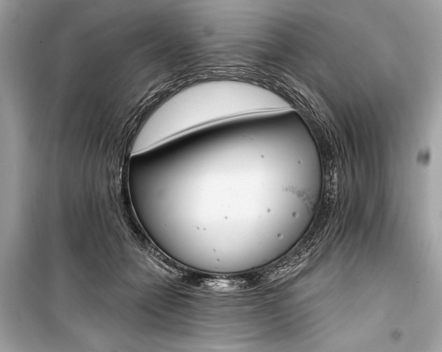 X0000099300558200805161351