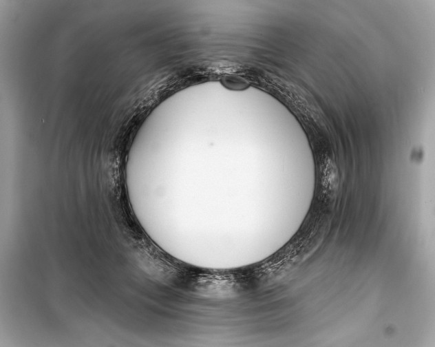 X0000099300559200805161351