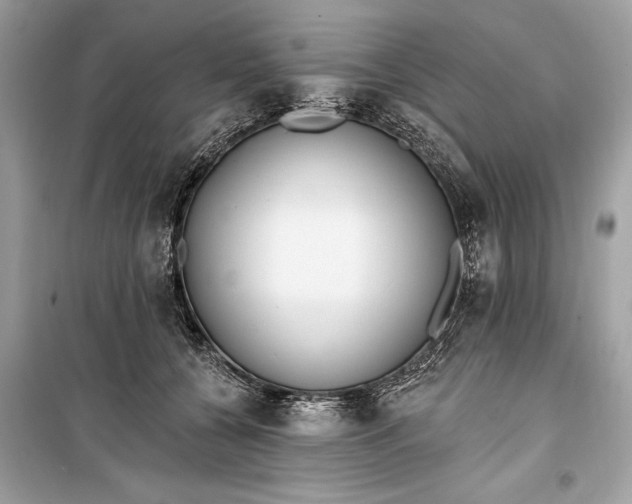 X0000099300560200805161351