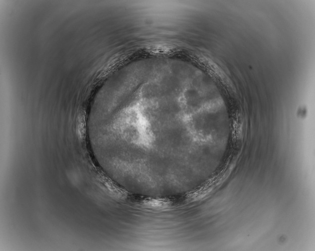 X0000099300561200805161351